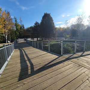 Zoo Sauvage 10/22 -  Laurentian Forest, red fox exhibit to the right