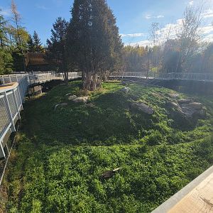 Zoo Sauvage 10/22 -  Laurentian Forest, Red Fox