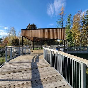 Zoo Sauvage 10/22 -  Laurentian Forest, covered area where boardwalks meet