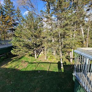 Zoo Sauvage 10/22 -  Laurentian Forest, fisher / NARO / raccoon exhibit