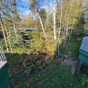 Zoo Sauvage 10/22 -  Laurentian Forest, fisher / NARO / raccoon exhibit