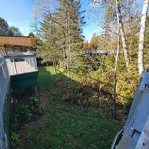 Zoo Sauvage 10/22 -  Laurentian Forest, fisher / NARO / raccoon exhibit