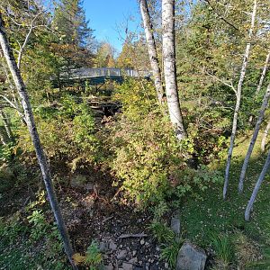 Zoo Sauvage 10/22 -  Laurentian Forest, fisher / NARO / raccoon exhibit