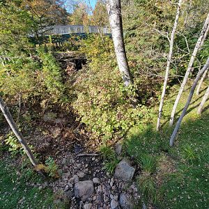 Zoo Sauvage 10/22 -  Laurentian Forest, fisher / NARO / raccoon exhibit