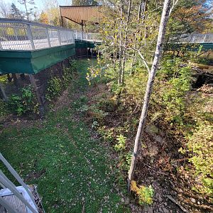 Zoo Sauvage 10/22 -  Laurentian Forest, fisher / NARO / raccoon exhibit