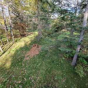 Zoo Sauvage 10/22 -  Laurentian Forest, fisher / NARO / raccoon exhibit