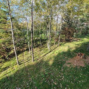 Zoo Sauvage 10/22 -  Laurentian Forest, fisher / NARO / raccoon exhibit