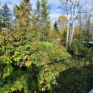 Zoo Sauvage 10/22 -  Laurentian Forest, fisher / NARO / raccoon exhibit