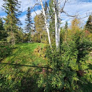 Zoo Sauvage 10/22 -  Laurentian Forest, fisher / NARO / raccoon exhibit