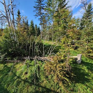 Zoo Sauvage 10/22 -  Laurentian Forest, fisher / NARO / raccoon exhibit