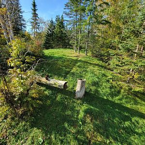 Zoo Sauvage 10/22 -  Laurentian Forest, fisher / NARO / raccoon exhibit