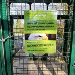 Zoo Sauvage 10/22 -  Laurentian Forest, closed bird of prey aviary
