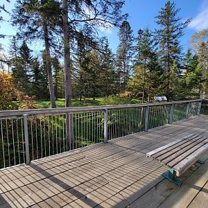Zoo Sauvage 10/22 -  Laurentian Forest, fisher / NARO / raccoon exhibit, seating area