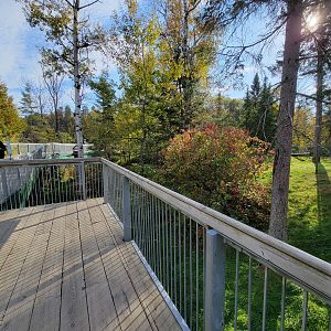 Zoo Sauvage 10/22 -  Laurentian Forest, fisher / NARO / raccoon exhibit