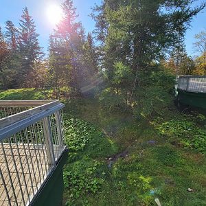 Zoo Sauvage 10/22 -  Laurentian Forest, fisher / NARO / raccoon exhibit