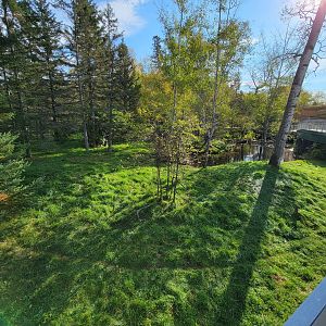 Zoo Sauvage 10/22 -  Laurentian Forest, fisher / NARO / raccoon exhibit