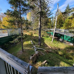 Zoo Sauvage 10/22 -  Laurentian Forest, beaver / striped skunk / snowshoe hare / woodchuck exhibit