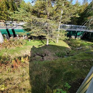 Zoo Sauvage 10/22 -  Laurentian Forest, beaver / striped skunk / snowshoe hare / woodchuck exhibit