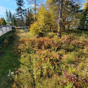 Zoo Sauvage 10/22 -  Laurentian Forest, beaver / striped skunk / snowshoe hare / woodchuck exhibit