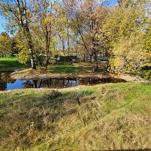 Zoo Sauvage 10/22 -  Laurentian Forest, beaver / striped skunk / snowshoe hare / woodchuck exhibit