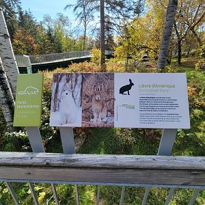 Zoo Sauvage 10/22 -  Laurentian Forest, fantastic signage in French and English