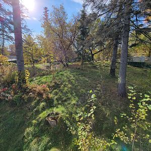 Zoo Sauvage 10/22 -  Laurentian Forest, beaver / striped skunk / snowshoe hare / woodchuck exhibit