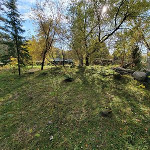 Zoo Sauvage 10/22 -  Laurentian Forest, beaver / striped skunk / snowshoe hare / woodchuck exhibit