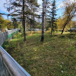 Zoo Sauvage 10/22 -  Laurentian Forest, beaver / striped skunk / snowshoe hare / woodchuck exhibit