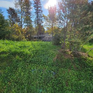 Zoo Sauvage 10/22 -  Laurentian Forest, beaver / striped skunk / snowshoe hare / woodchuck exhibit