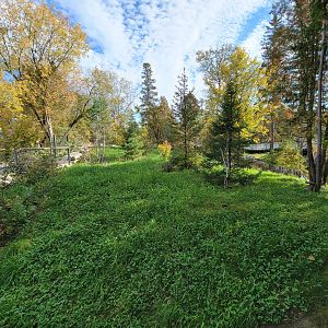 Zoo Sauvage 10/22 -  Laurentian Forest, beaver / striped skunk / snowshoe hare / woodchuck exhibit