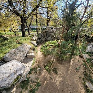 Zoo Sauvage 10/22 -  Laurentian Forest, North American porcupine exhibit
