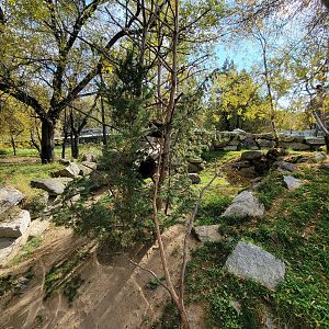 Zoo Sauvage 10/22 -  Laurentian Forest, North American porcupine exhibit
