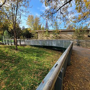 Zoo Sauvage 10/22 -  Laurentian Forest, North American porcupine exhibit