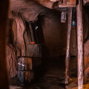 Pallas' Long-Tongued Bat