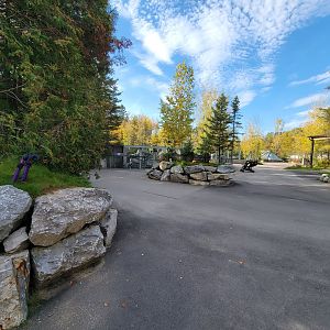 Zoo Sauvage 10/22 -  Path to geladas