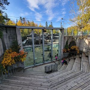 Zoo Sauvage 10/22 -  Geladas