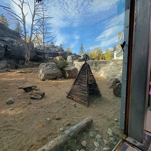 Zoo Sauvage 10/22 -  Geladas