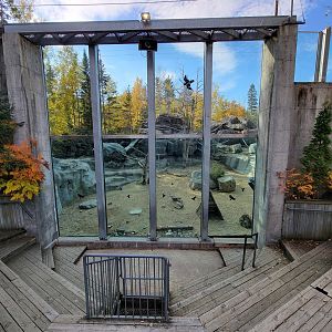 Zoo Sauvage 10/22 -  Geladas