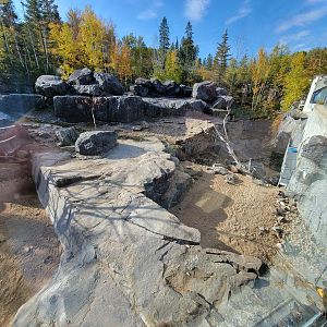 Zoo Sauvage 10/22 -  Geladas