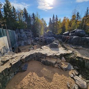 Zoo Sauvage 10/22 -  Geladas