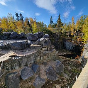 Zoo Sauvage 10/22 -  Geladas