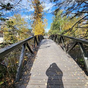 Zoo Sauvage 10/22 - Bridge to Asia, train