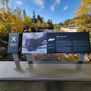 Zoo Sauvage 10/22 - Sea mink extinction sign