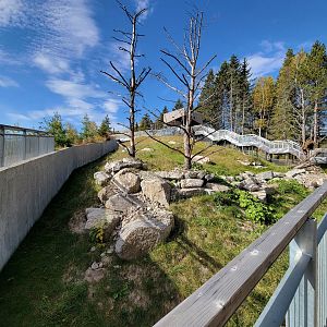 Zoo Sauvage 10/22 - Eastern Asia, red panda exhibit #1