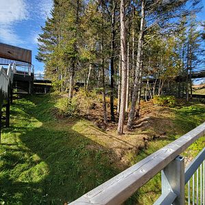 Zoo Sauvage 10/22 - Eastern Asia, red panda exhibit #2