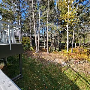 Zoo Sauvage 10/22 - Eastern Asia, red panda exhibit #2