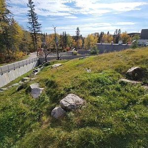 Zoo Sauvage 10/22 - Eastern Asia, red panda exhibit #1