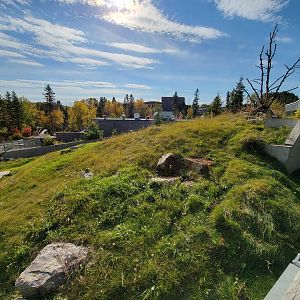 Zoo Sauvage 10/22 - Eastern Asia, red panda exhibit #1