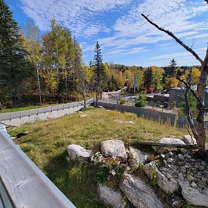 Zoo Sauvage 10/22 - Eastern Asia, red panda exhibit #1