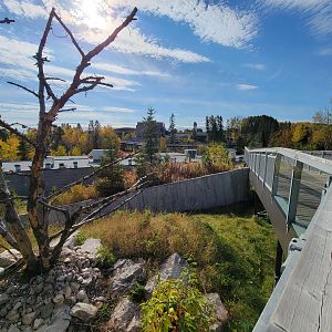 Zoo Sauvage 10/22 - Eastern Asia, red panda exhibit #1, view over roofs of buildings